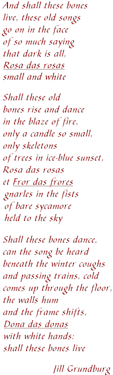 Rosa das rosas poem