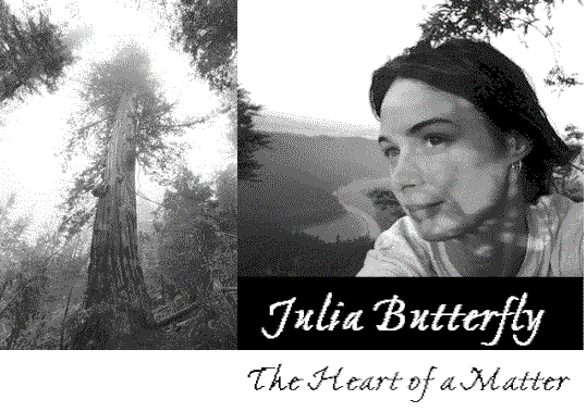 Julia Butterfly: The Heart of a Matter. Luna photo by Geoff Bugbee, Julia photo self-portrait