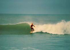 Surf's Up