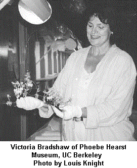 Victoria Bradshaw of Phoebe Hearst Museum UC Berkeley   Photo by Louis Knight
