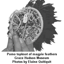 Pomo topknot of magpie feathers   Grace Hudson Museum   Photos by Elaine Quitiquit