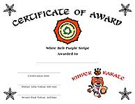 Custom Kinder Karate Award I